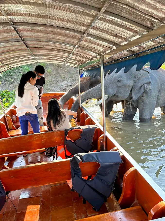 น้องช้าง - เล่นน้ำ