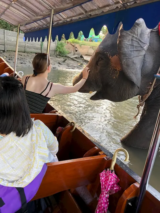 น้องช้าง - เล่นน้ำ