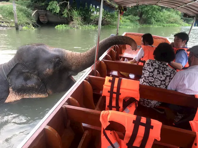 น้องช้าง - เล่นน้ำ