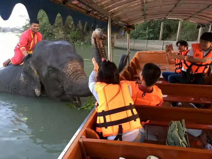 น้องช้าง - เล่นน้ำ